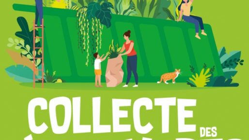 Rappel Déchets Verts dernière collecte le jeudi 27 novembre !